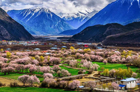 西藏旅遊