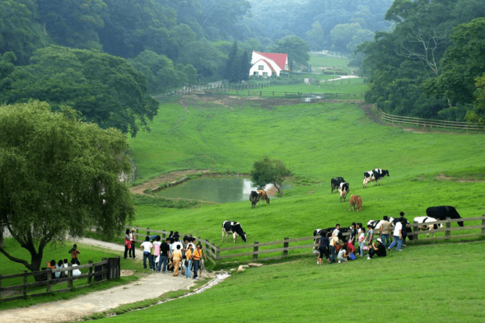 新竹旅遊景點
